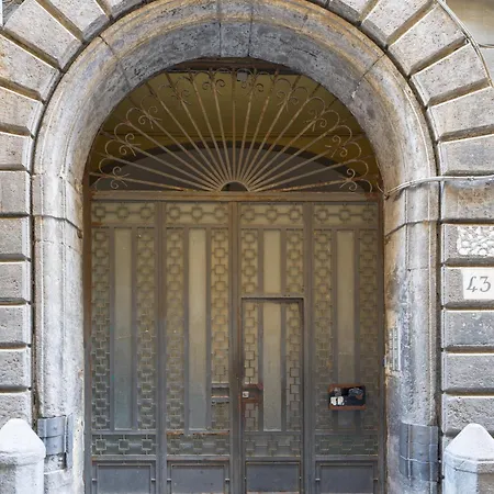 Plasma Piazza Plebiscito